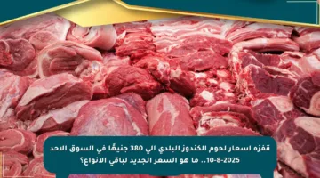 قفزة أسعار لحوم الكندوز البلدي إلى 380 جنيهًا في السوق الأحد 10-8-2025.. ما هو السعر الجديد لباقي الأنواع؟